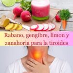 Potencia tu Tiroides: Rábano, Jengibre, Limón y Zanahoria