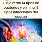 El Ajo: Una Maravilla Natural Para Tu Salud
