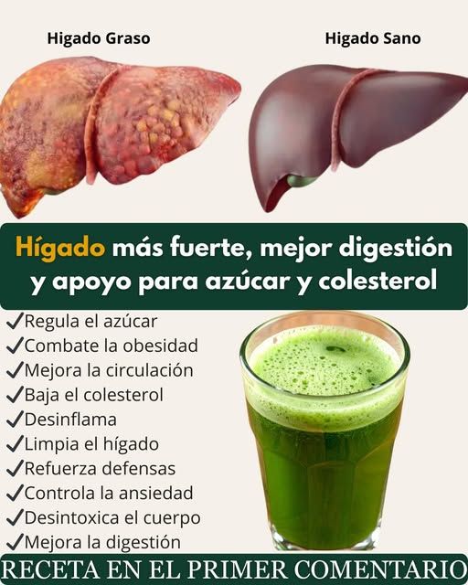 Comparativa hígado graso y hígado saludable