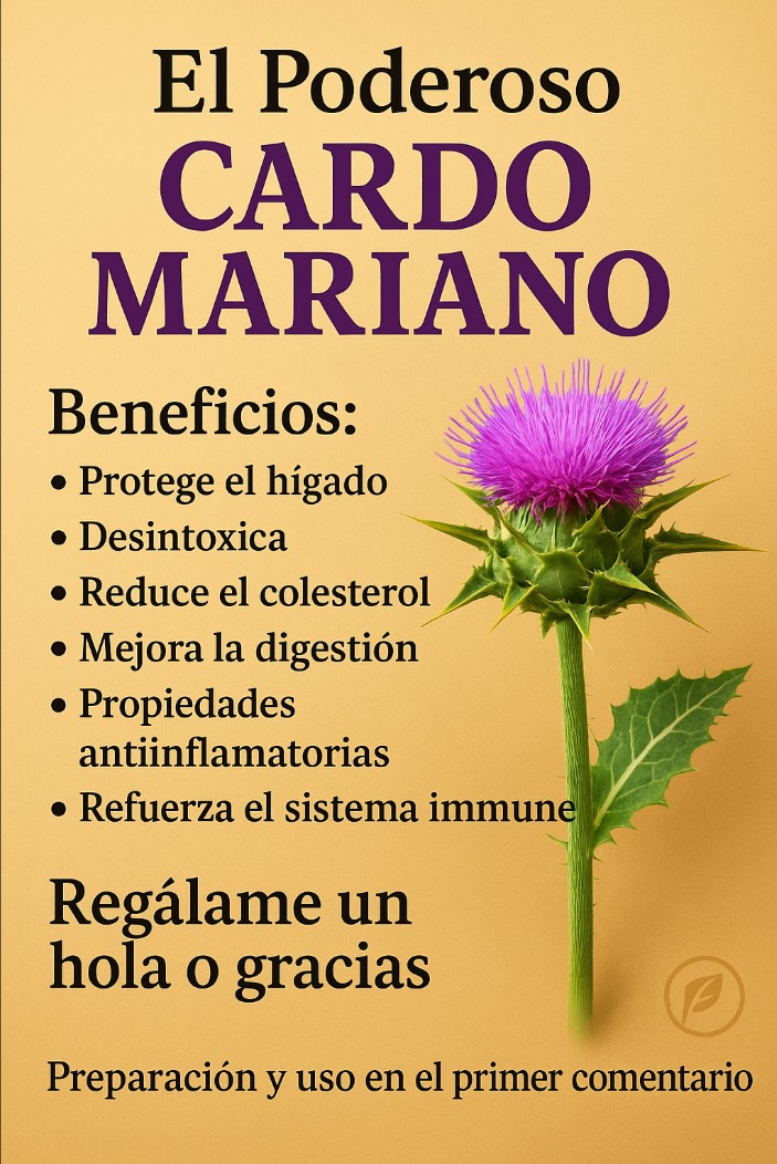 Cardo Mariano