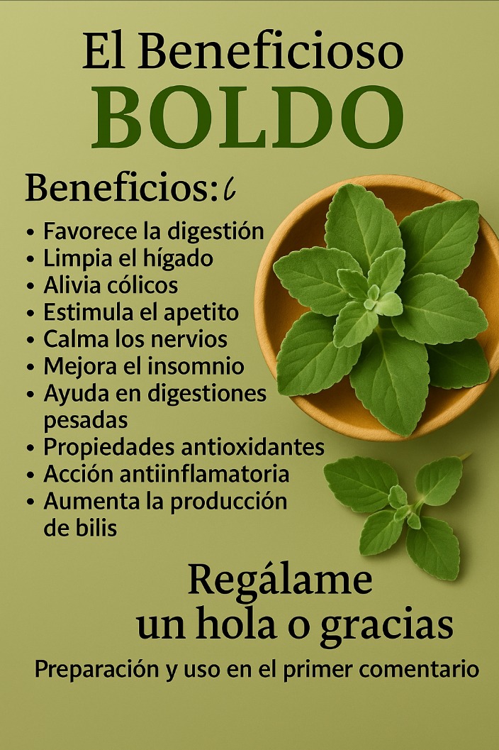 Hojas de Boldo