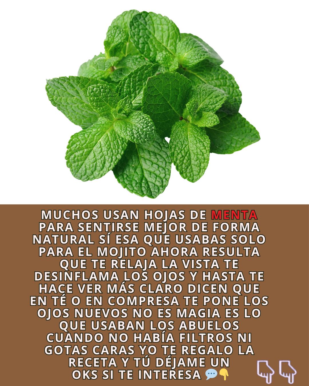 Hojas de Menta Fresca
