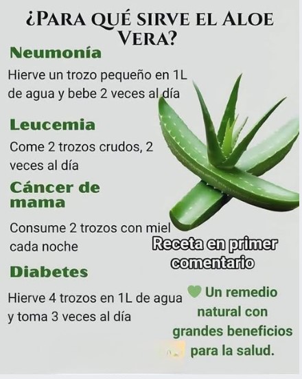 Beneficios del Aloe Vera