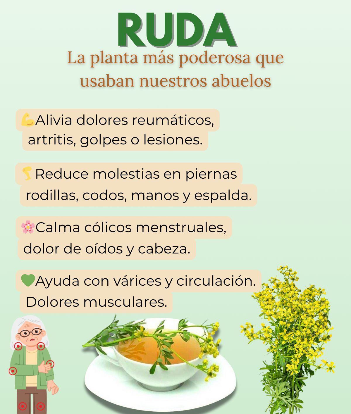 Propiedades de la Ruda