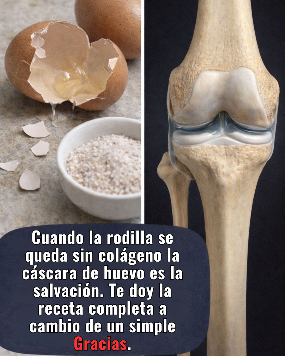 Cáscaras de huevo y rodilla