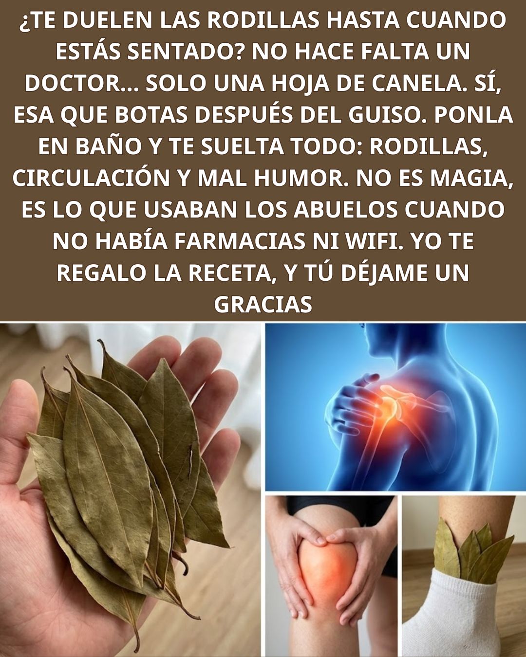 Hojas de Laurel