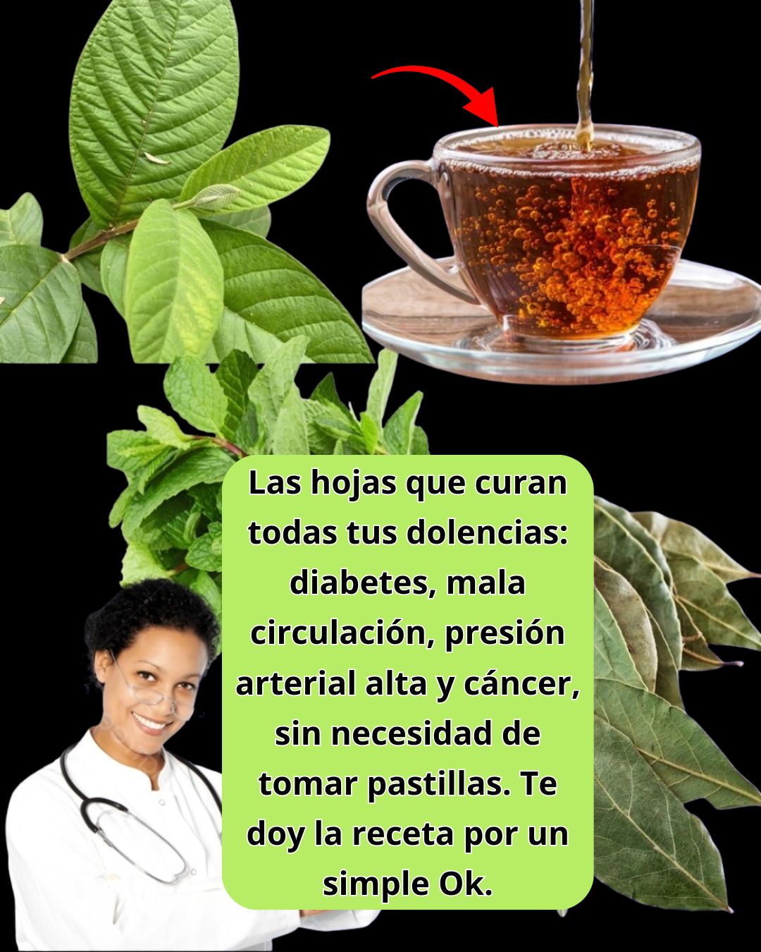 Hojas medicinales