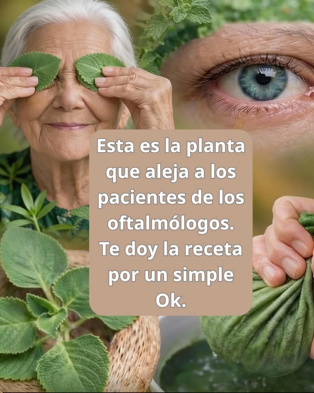 Orégano y salud ocular