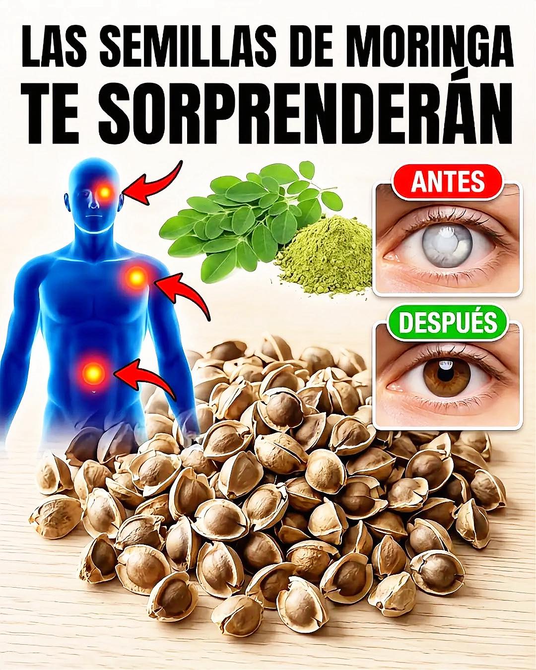 Beneficios de las semillas de moringa