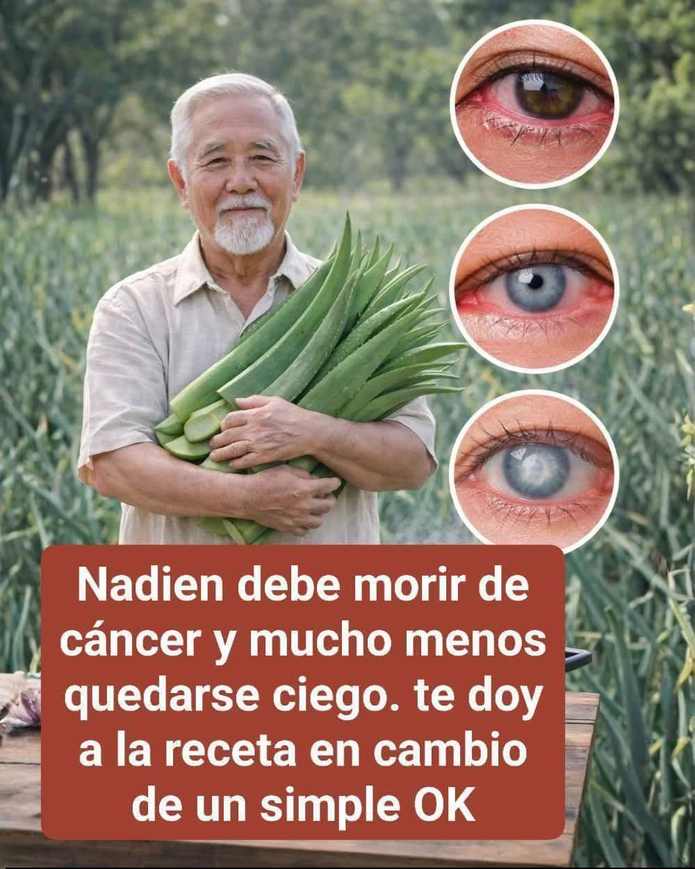 Hojas de Aloe Vera