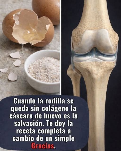 Cáscaras de huevo y la salud de los huesos
