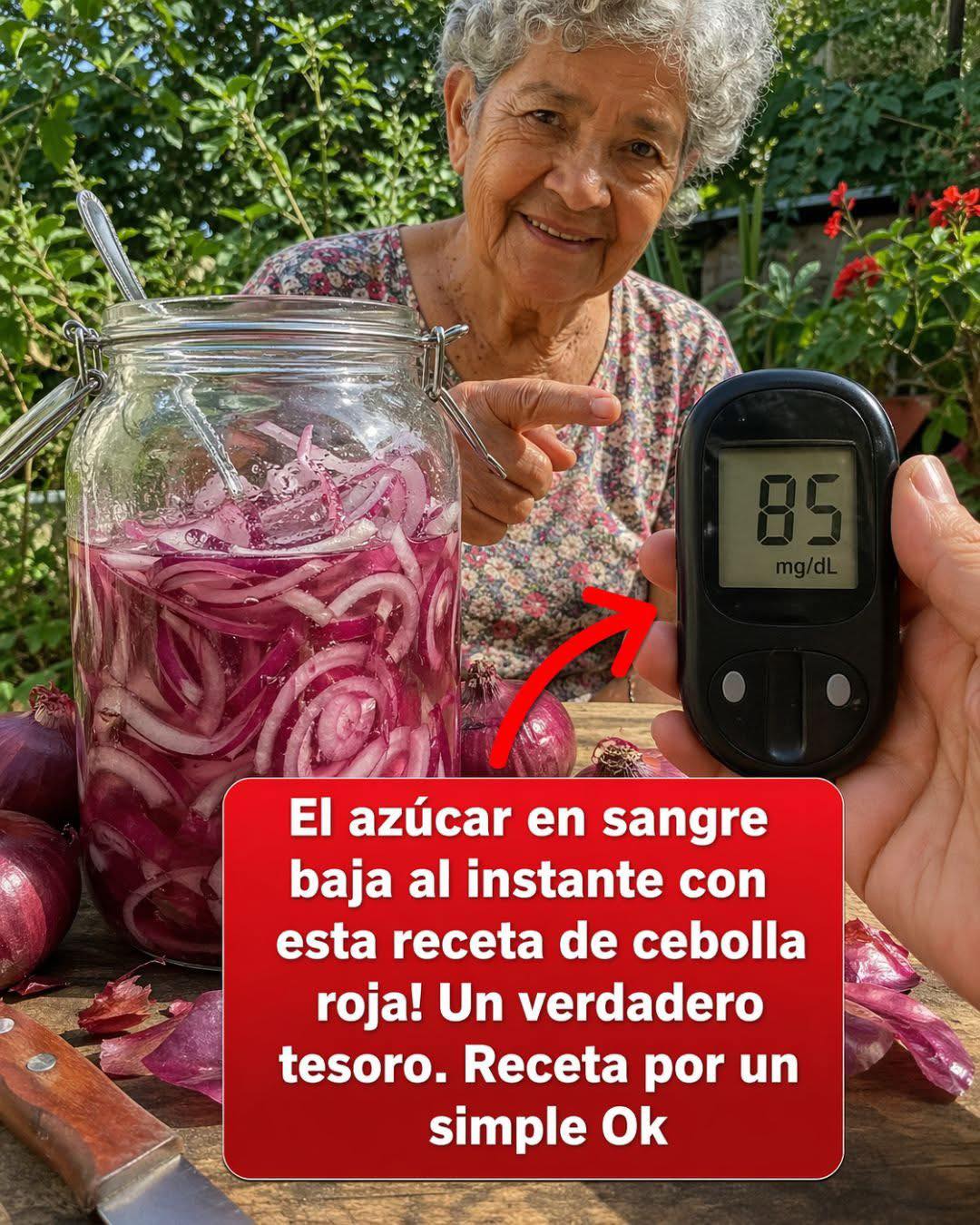 Cebolla Roja en Rodajas