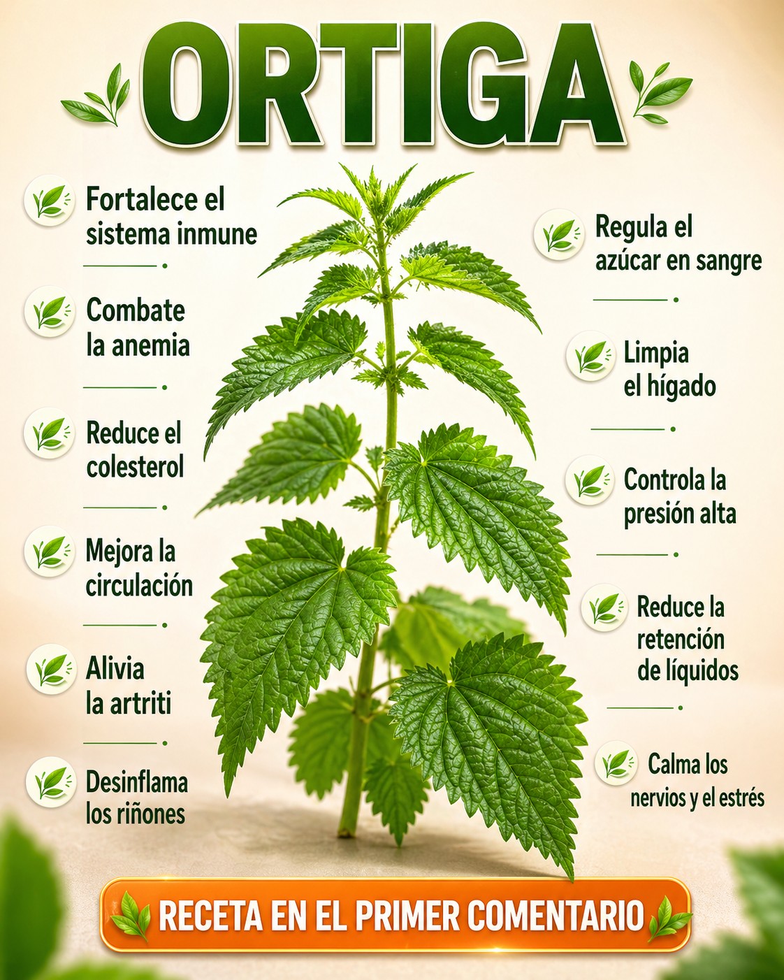 Beneficios de la ortiga