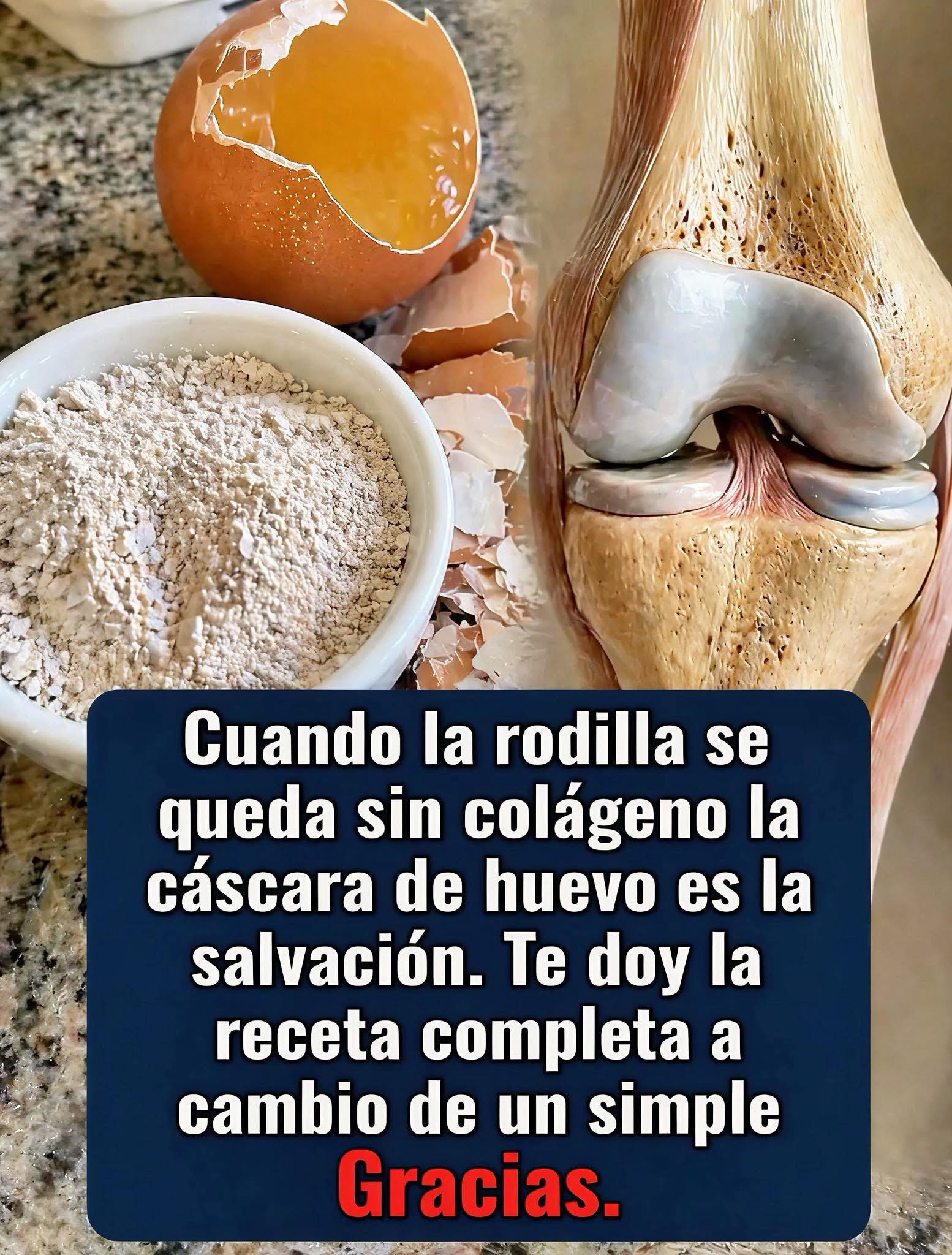 Cáscara de Huevo