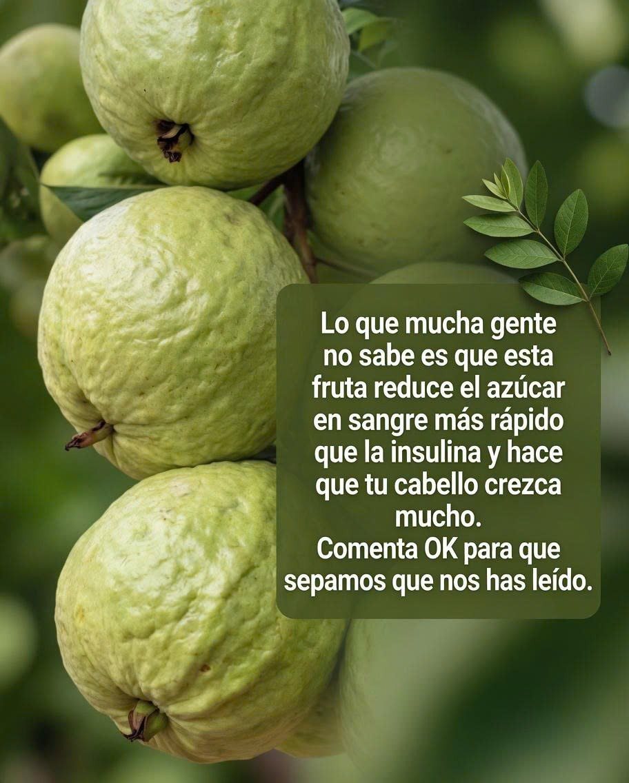 Guayabas en un árbol