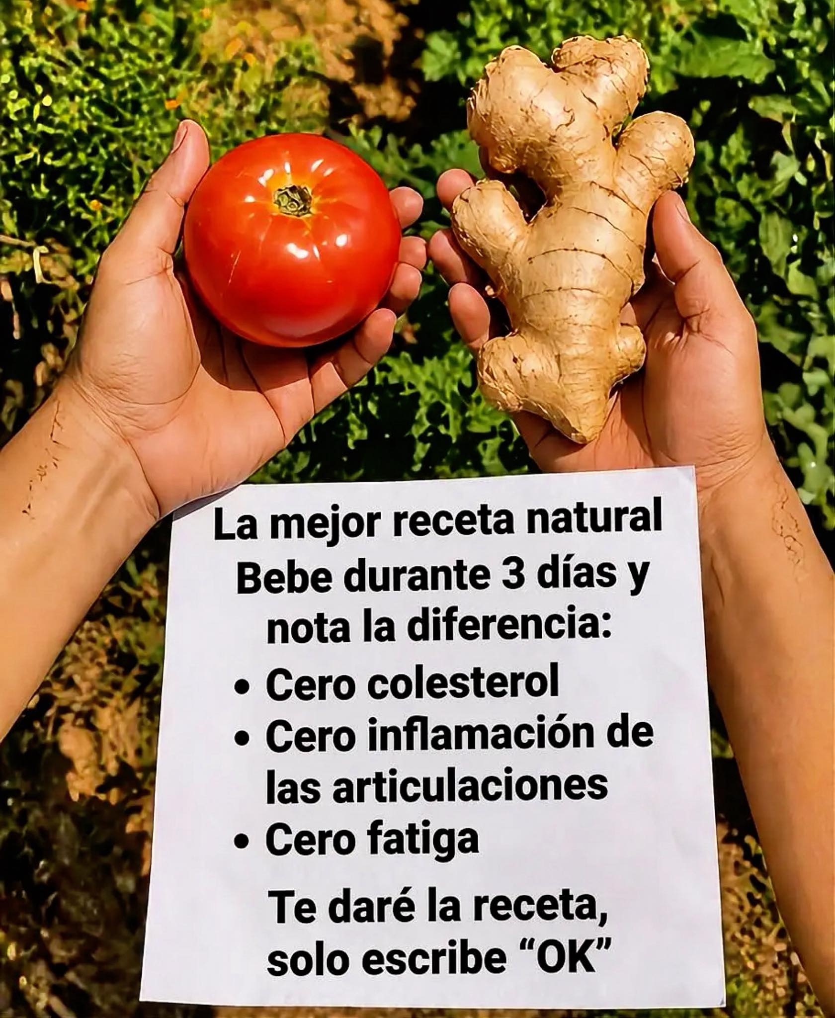 Ingredientes del jugo