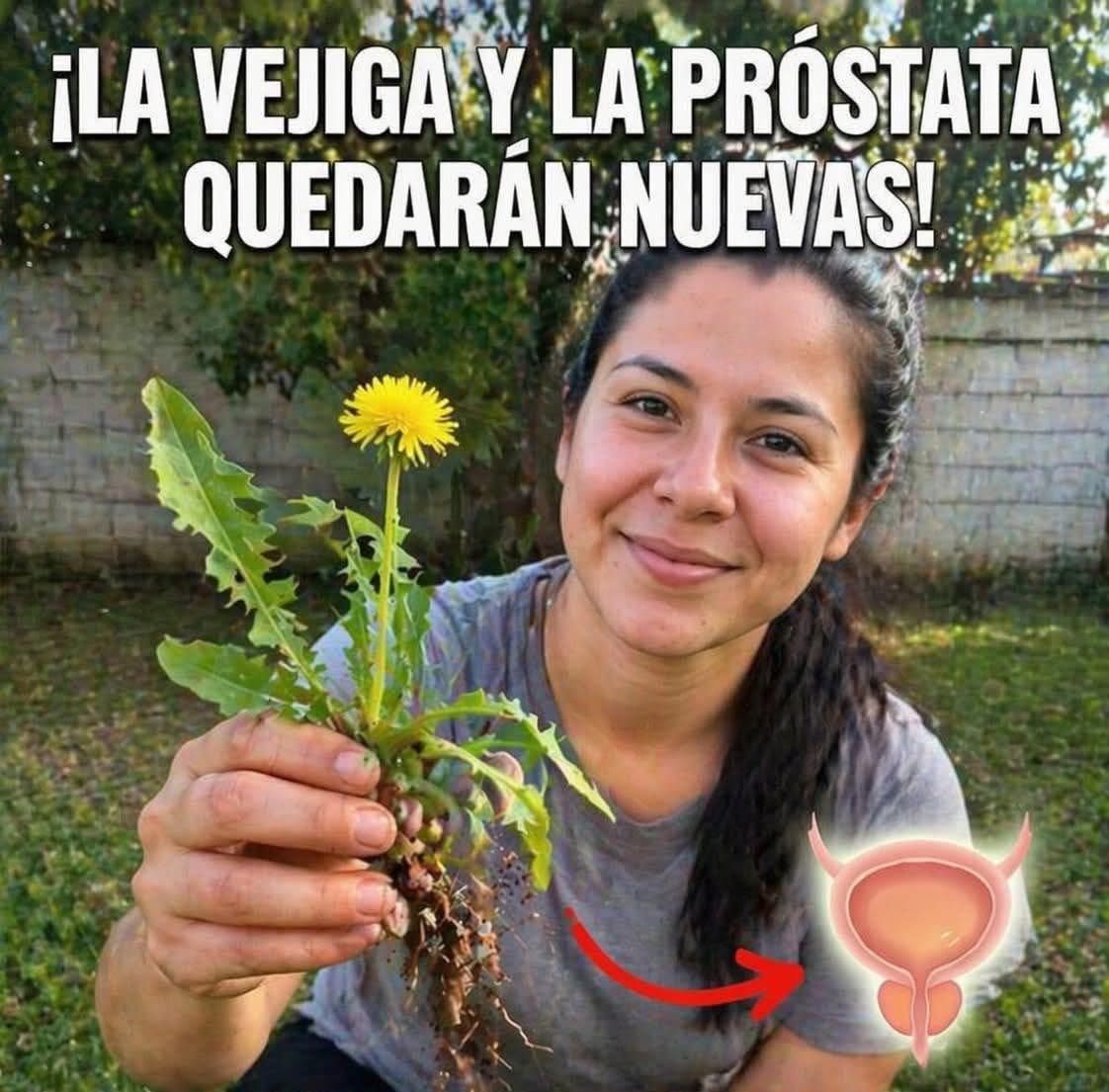 Diente de León