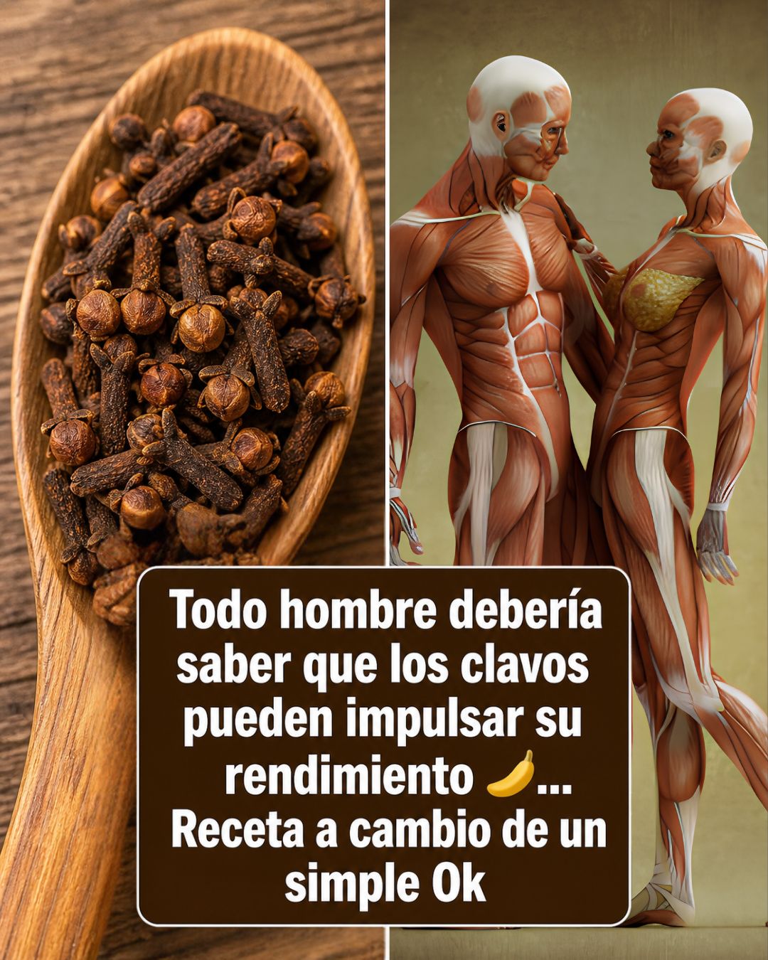 Beneficios de los Clavos de Olor