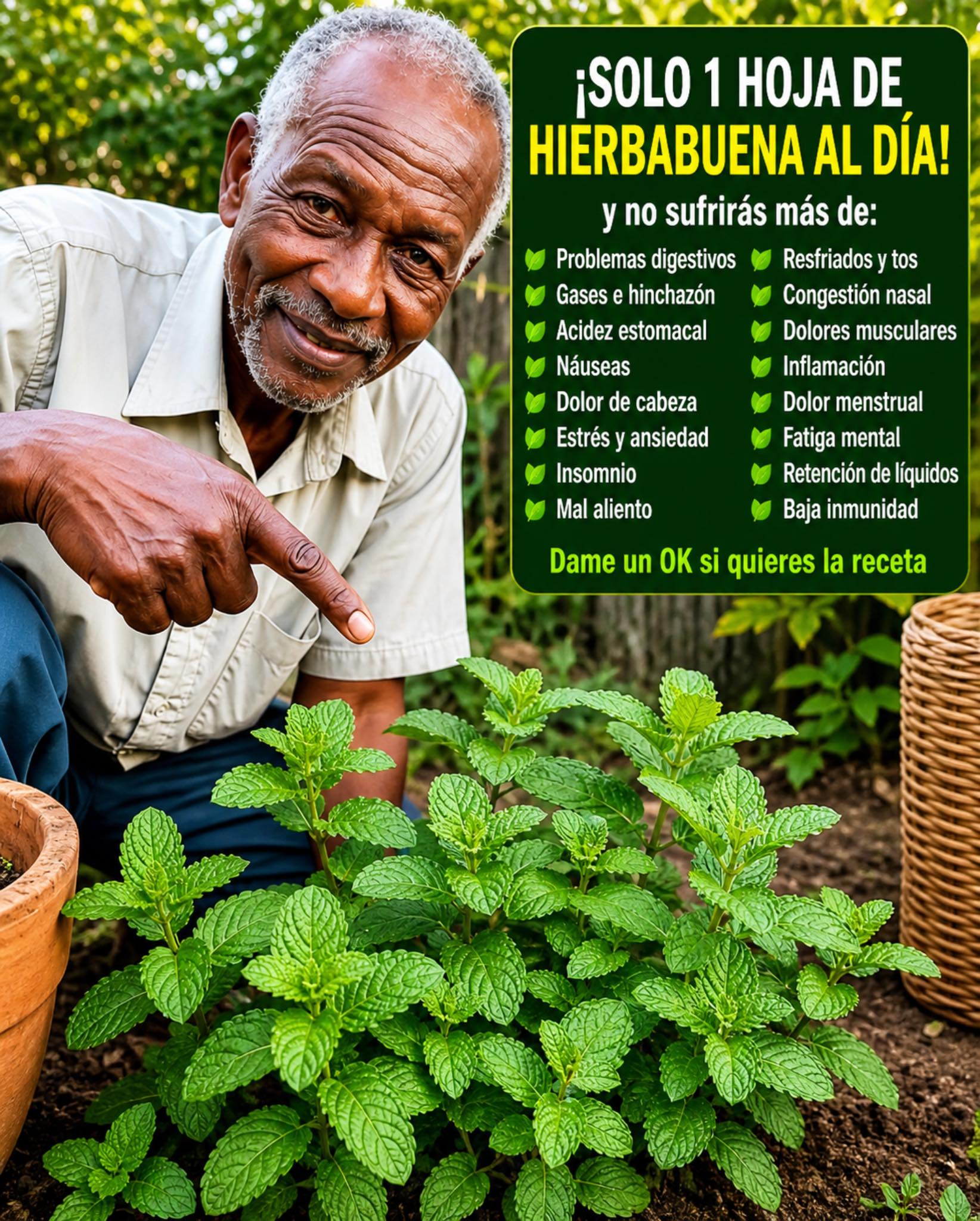 Hierbabuena