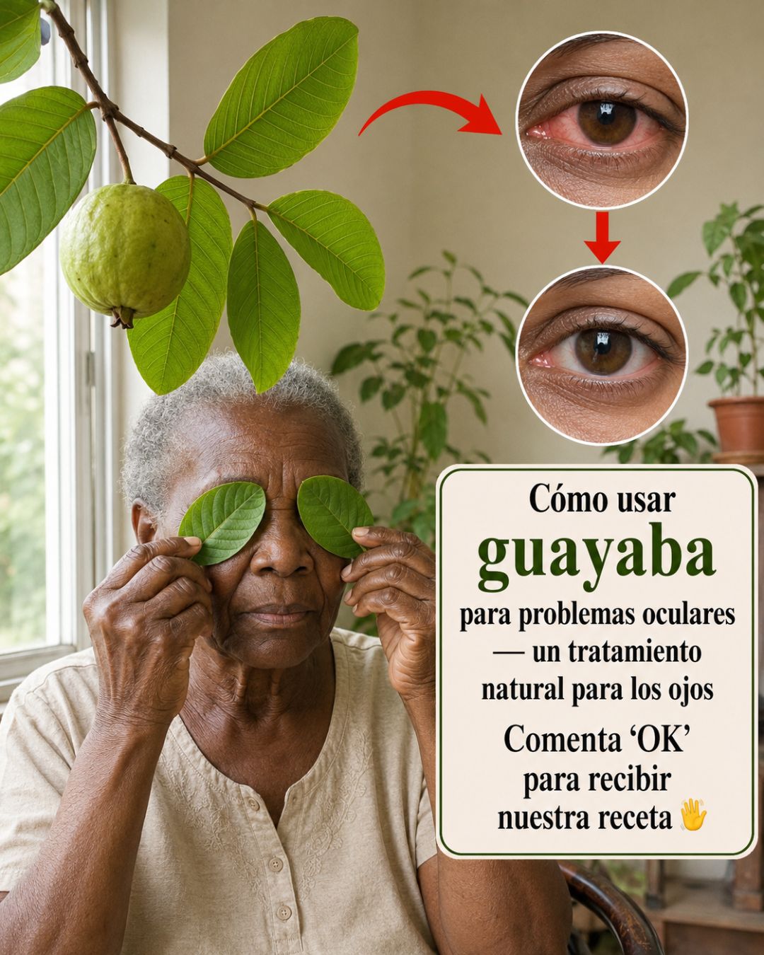 Hojas de guayaba sobre los ojos