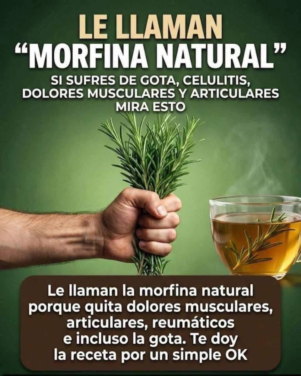 Romero Morfina Natural