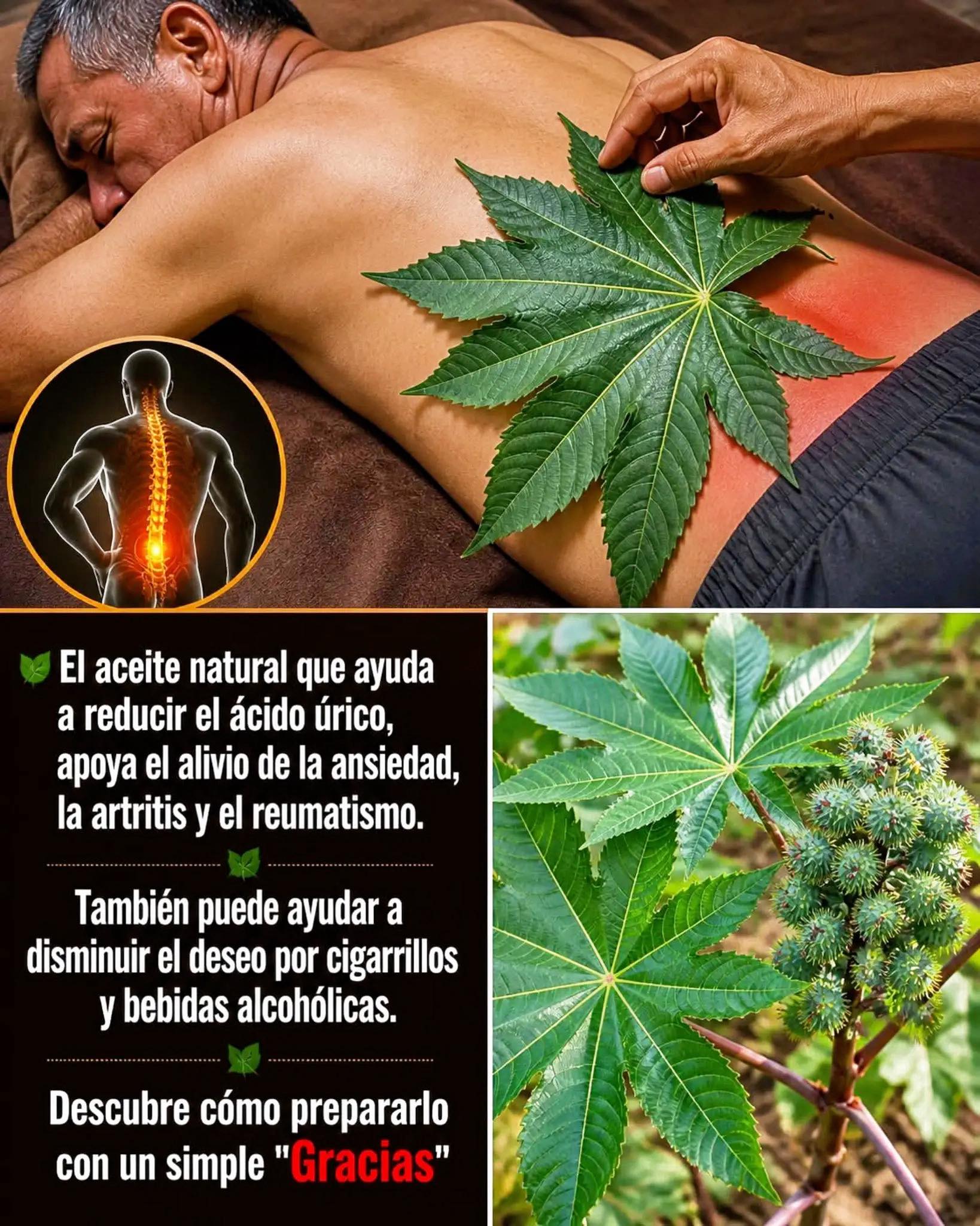 Beneficios del aceite de ricino