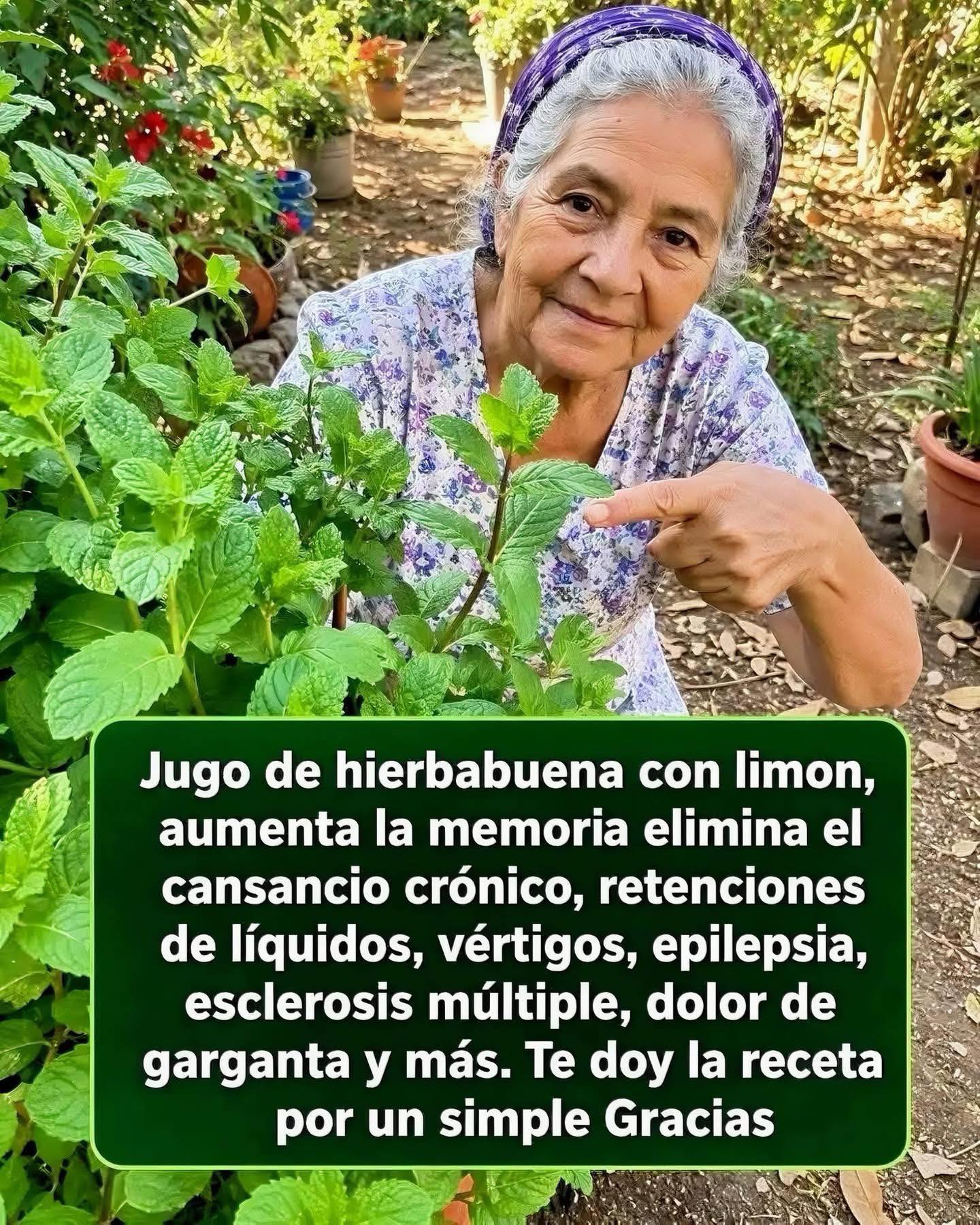 Jugo de Hierbabuena con Limón