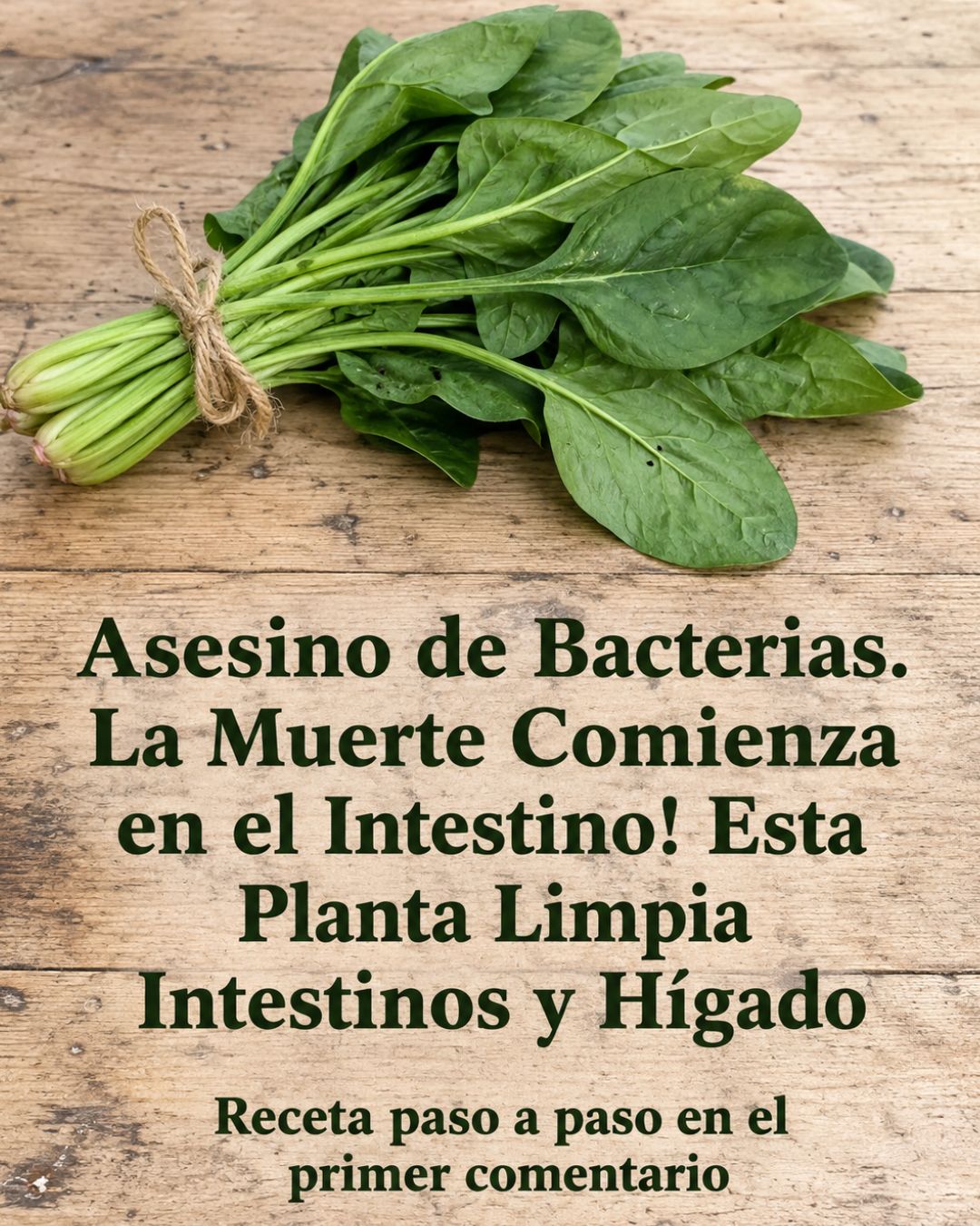 Espinacas