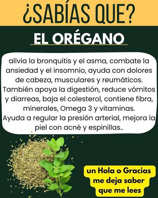 Beneficios del Orégano