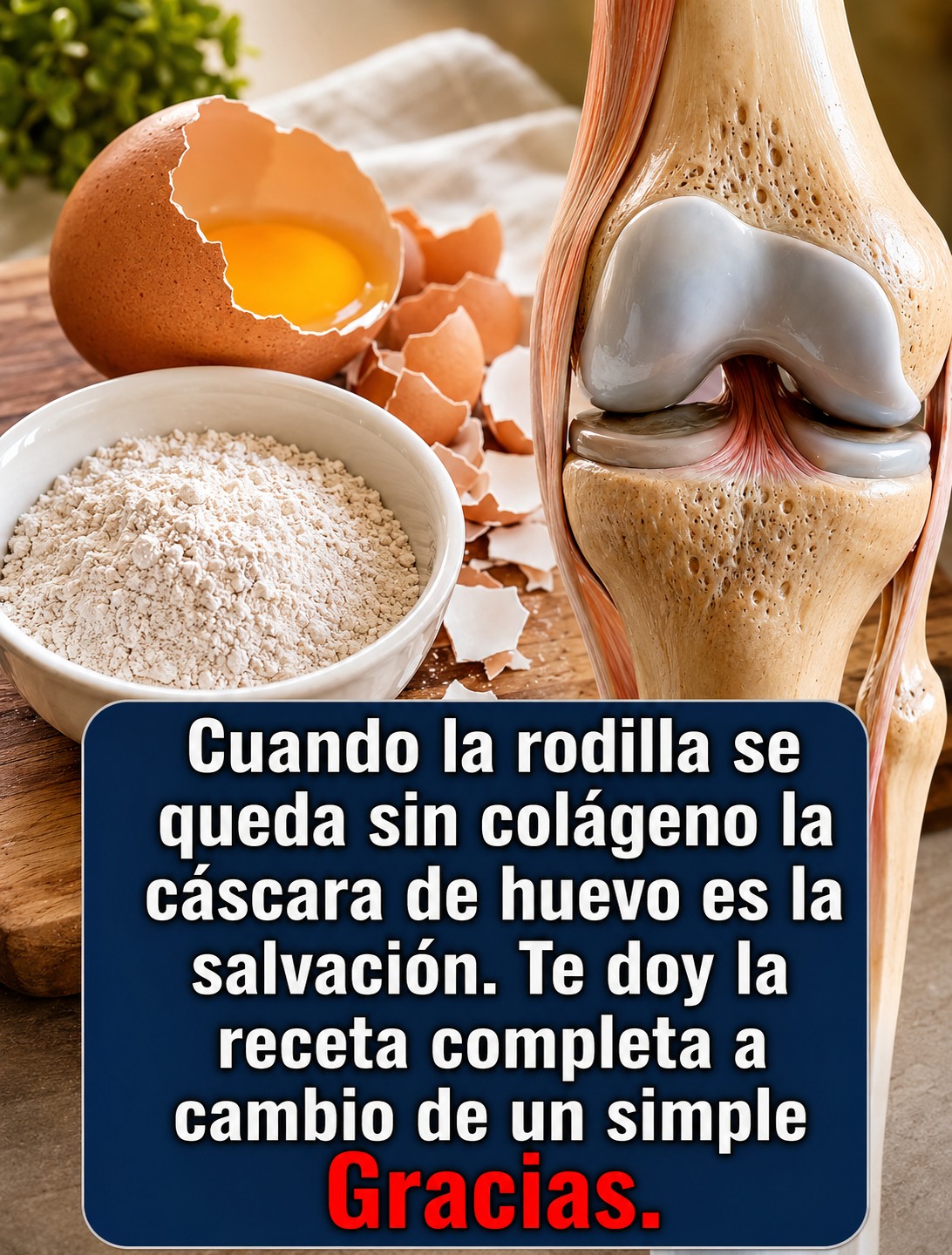 Cáscaras de huevo y rodilla anatómica