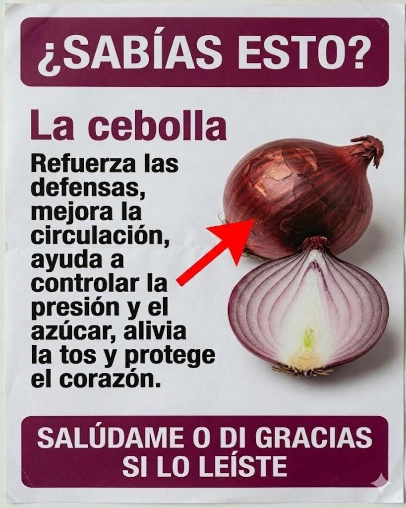 Cebolla entera y cebolla cortada por la mitad
