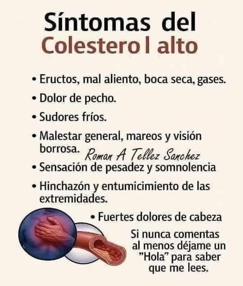 Arterias con acumulación de colesterol