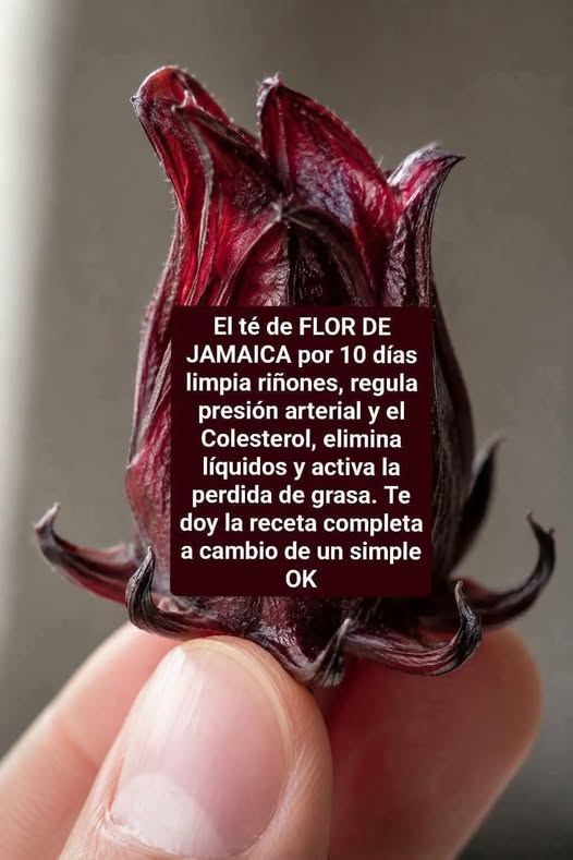 Té de flor de Jamaica