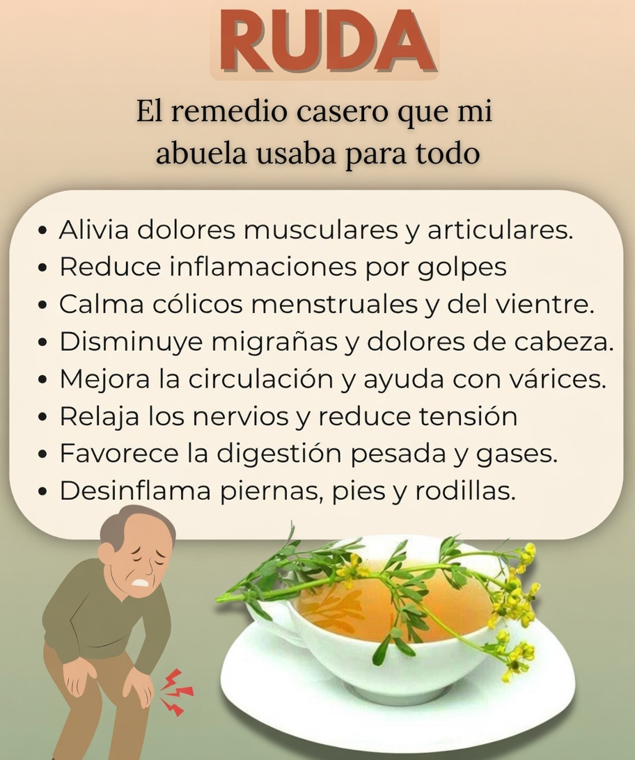 Beneficios de la Ruda