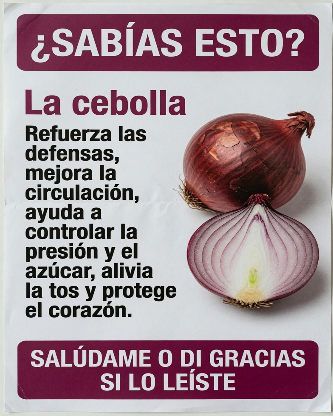 Cebolla morada