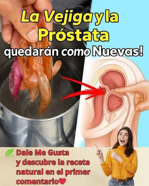 Sistema urinario