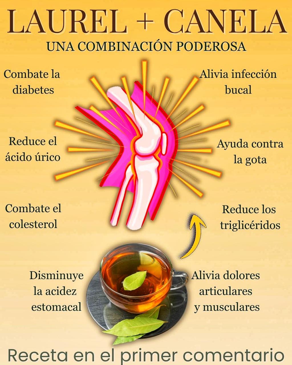Infusión de laurel y canela