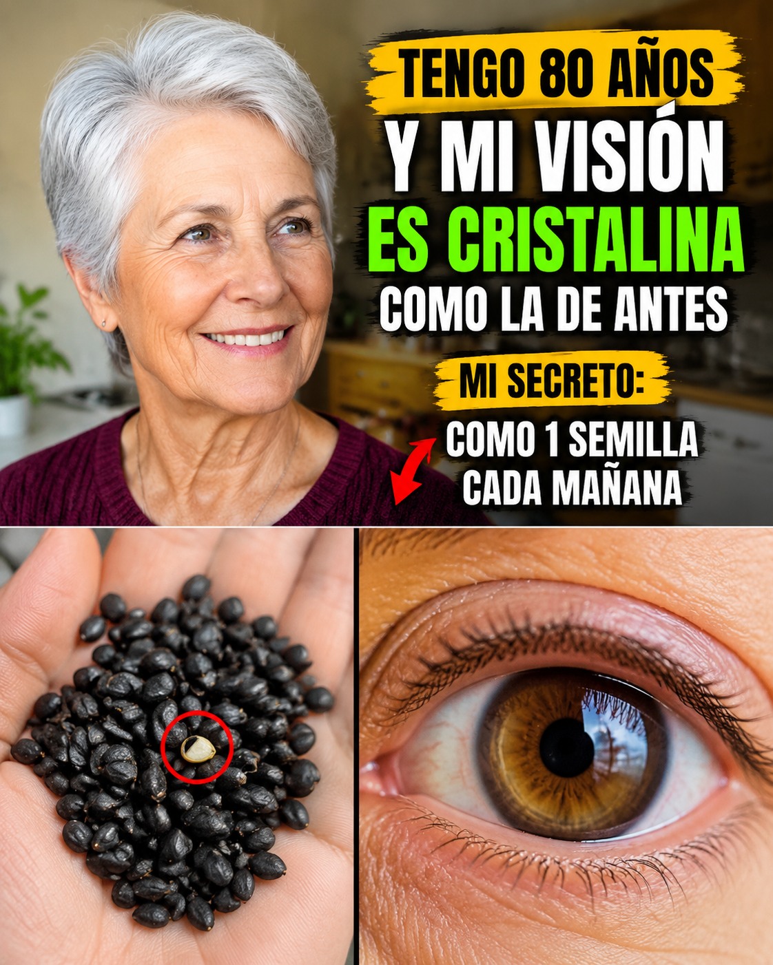 Semillas que mejoran la visión y la función cerebral