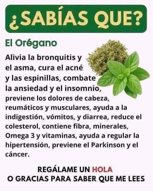 Beneficios del Orégano