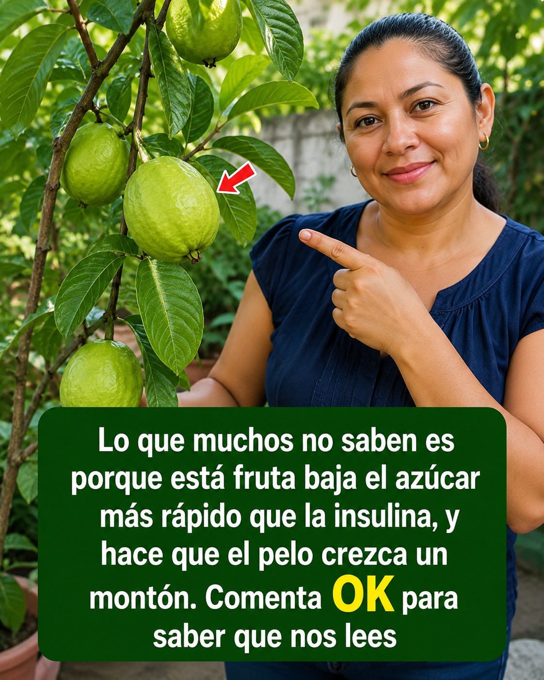 Guayaba en árbol