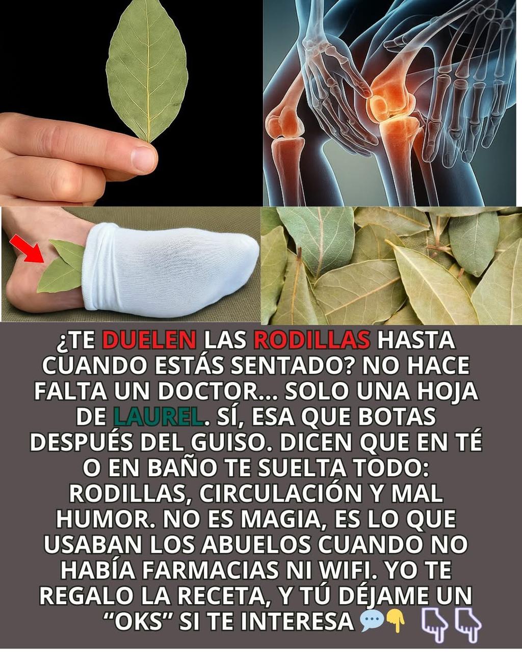 Hoja de Laurel como remedio para las rodillas