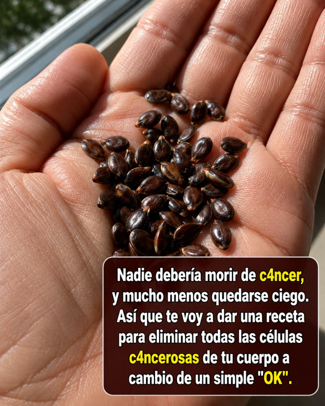 Semillas de manzana