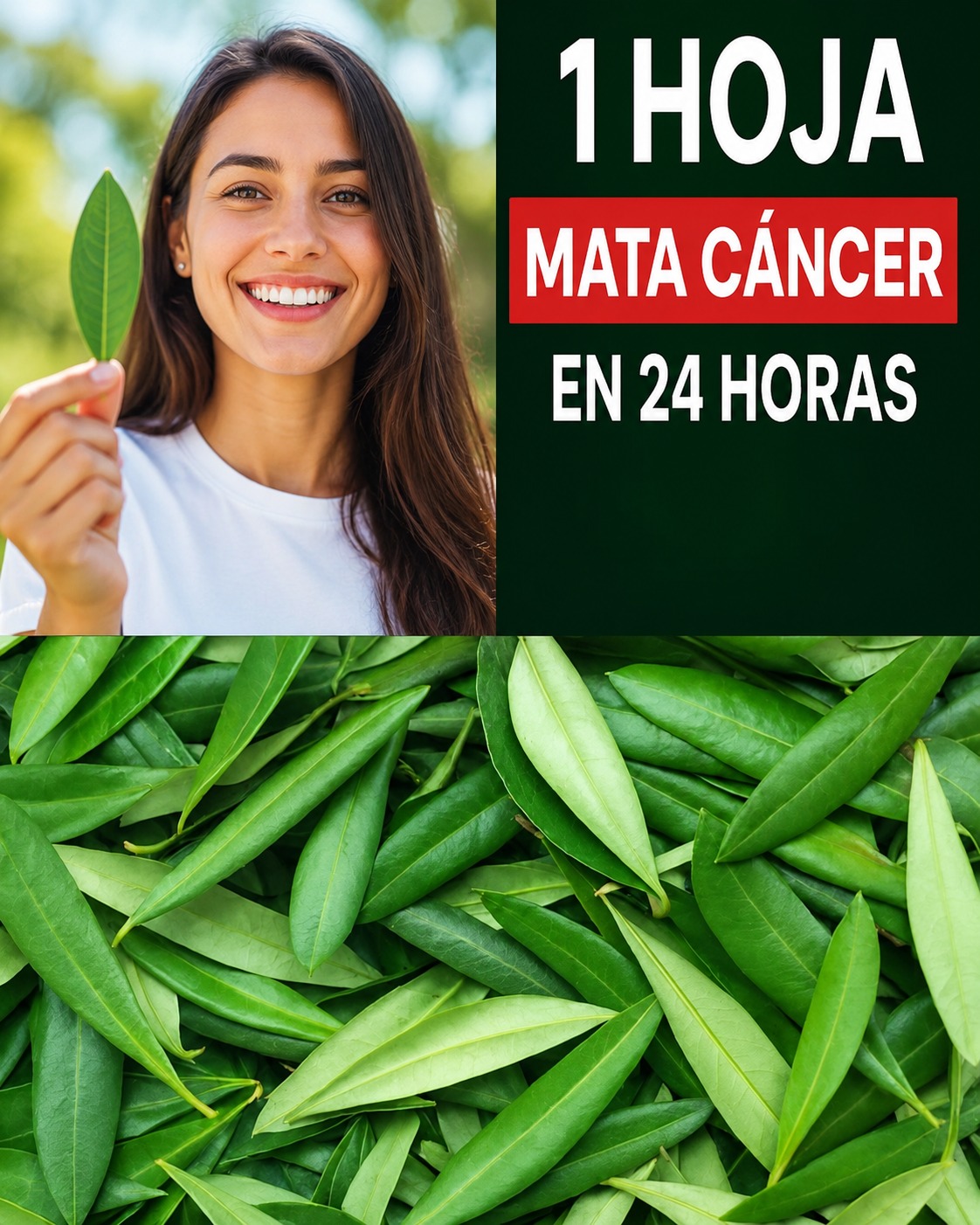 Hoja verde con beneficios para la salud