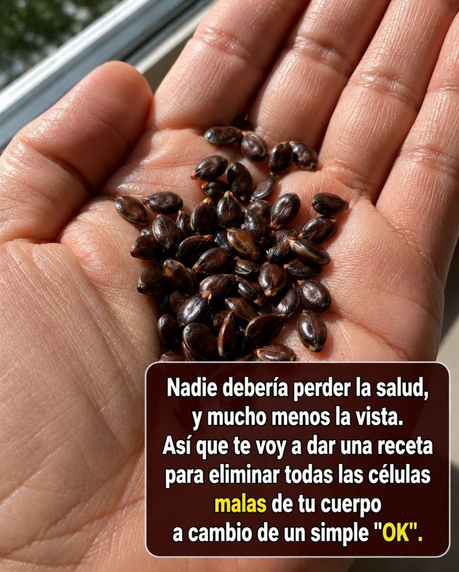 Receta natural a base de manzana