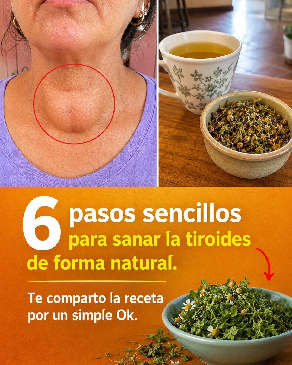 Infusiones naturales