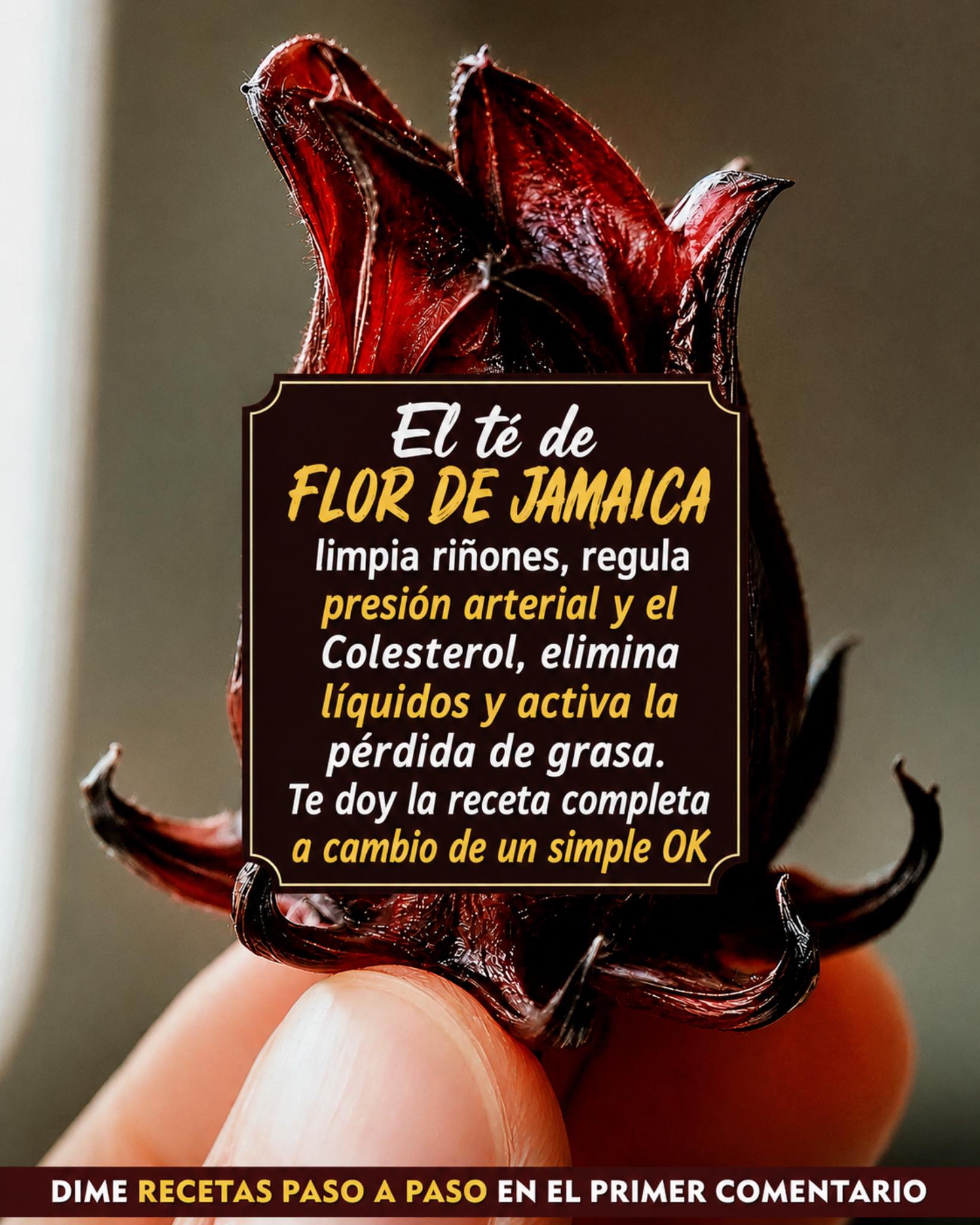 Flor de Jamaica