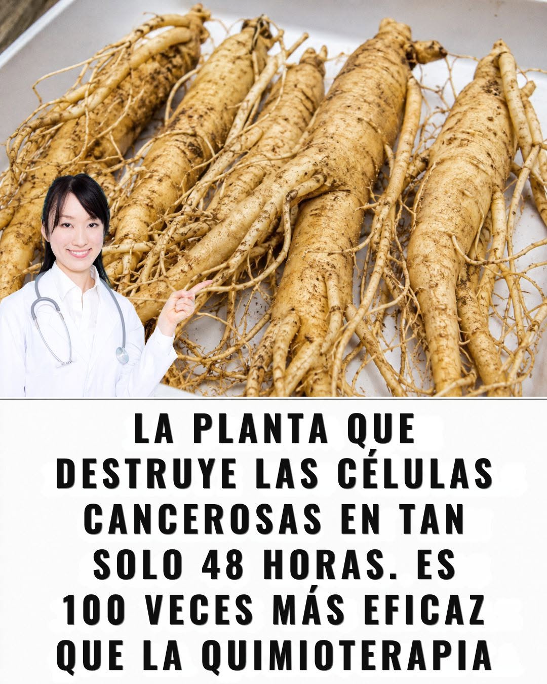 Raíz de Diente de León