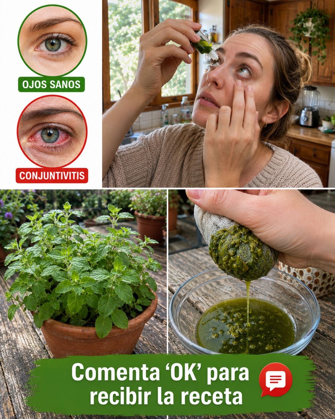 Infusión de orégano
