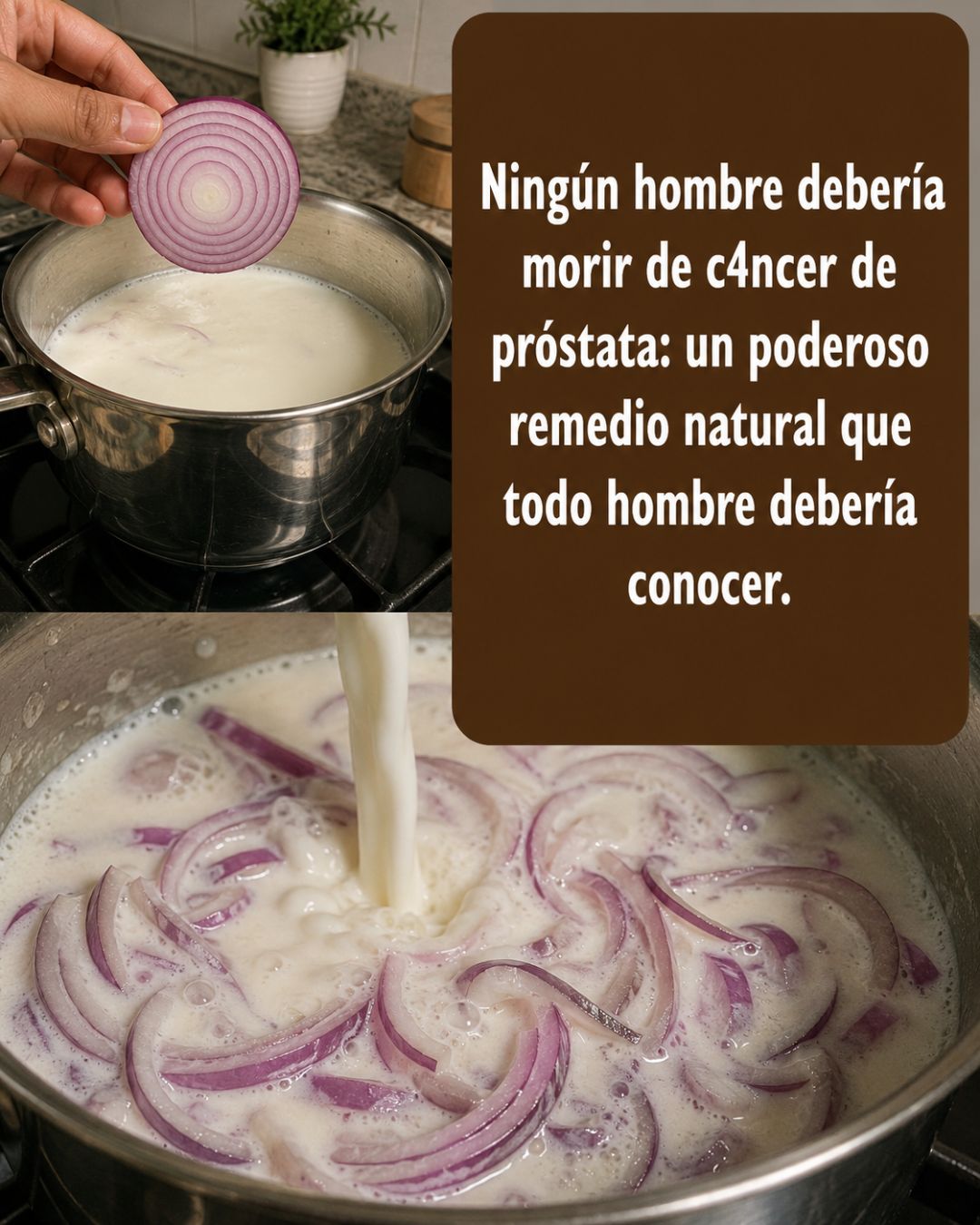 Cebolla y leche