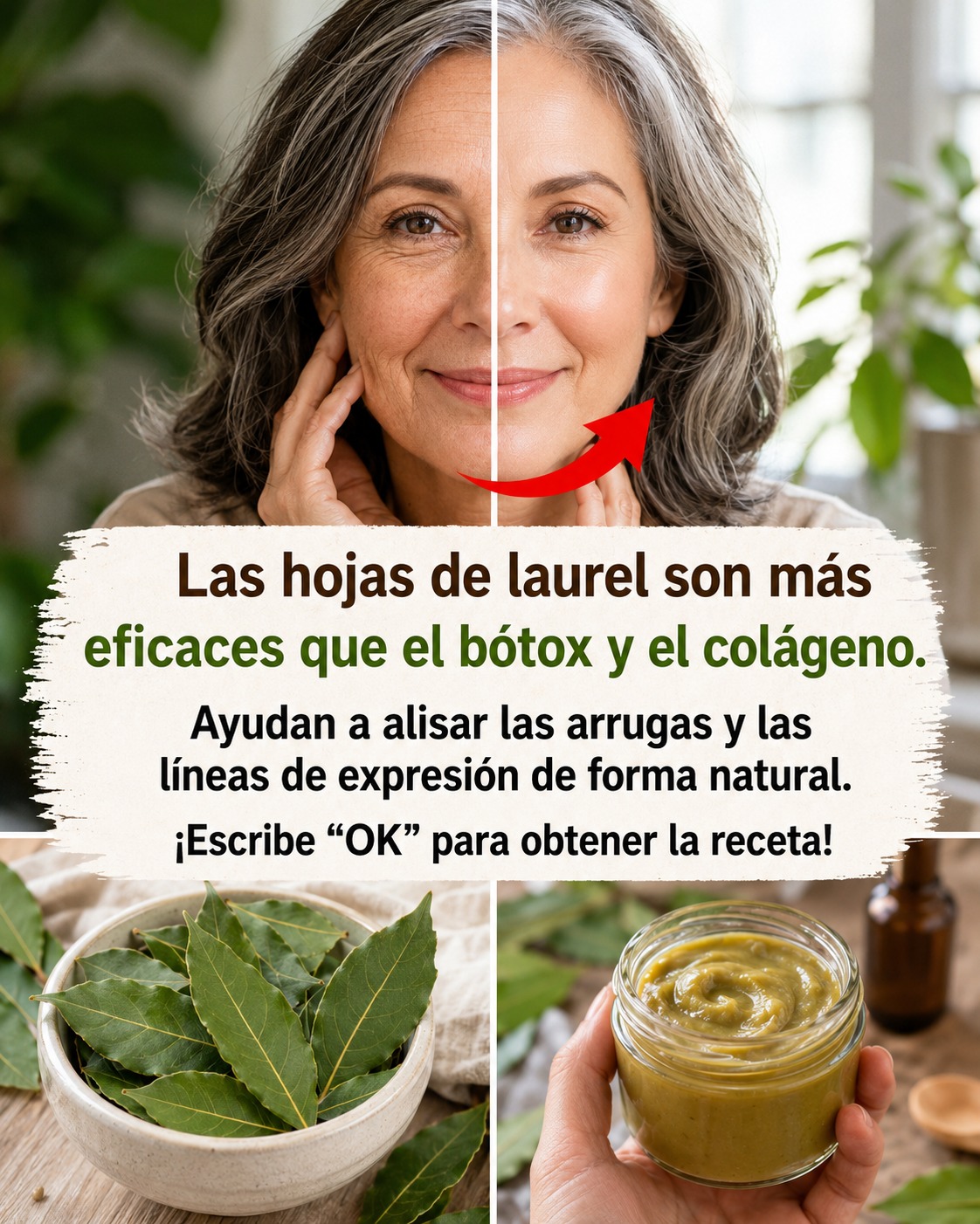 Hojas de laurel y crema natural